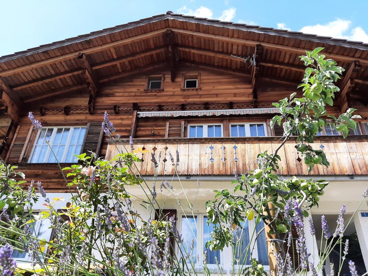 Cozy Chalet By Interlaken. Parking Ringgenberg Esterno foto